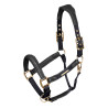 Gepolsterter Lederhalfter Shires Velociti Lusso - Schwarz