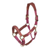 Gepolsterter Lederhalfter Shires Velociti Lusso - Bordeaux