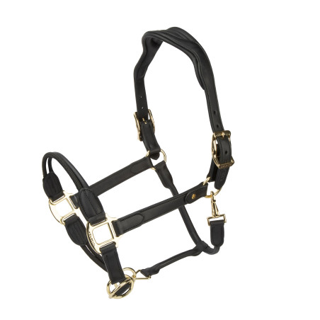 Lederhalfter Soria Control Shires Velociti Lusso