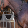 Elite Shires Velociti Lusso Ringe-Martingal - Schwarz