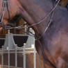 Elite Shires Velociti Lusso Ringe-Martingal - Havanna