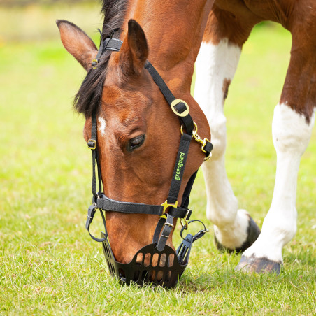 Shires Greenguard Weidekorb