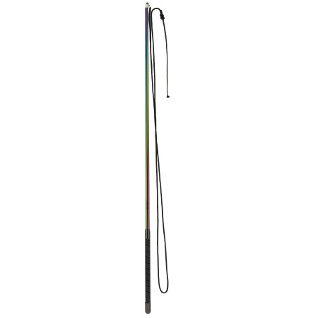 Teleskop-Chambriere Whip & Go Hologram