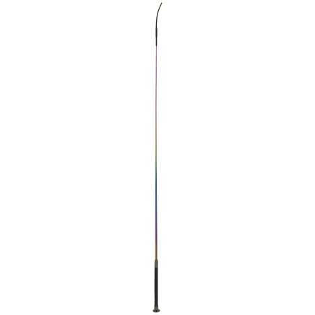 Dressurgerte Whip & Go Hologram