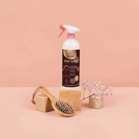 Easy Shine Ravene Entwirrer Glanzspray Limited Edition 20 Jahre