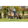 LeMieux Loire Dressur Schabracke - Eisblau