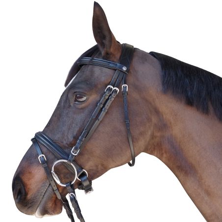 Trensenzaum Pull Back Euro Canter