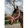 Norton Dream Halfter - Pink