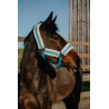 Norton Comfy Halfter - Blau