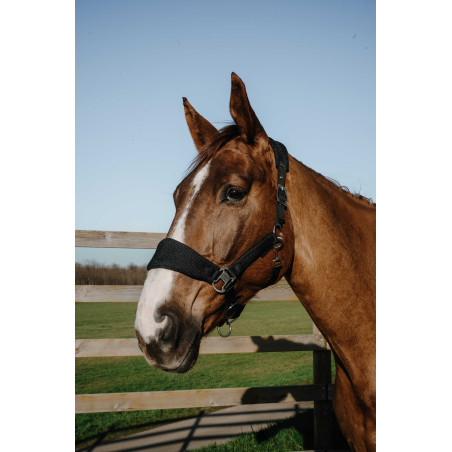 Equithème Breeze Halfter