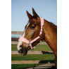Equithème Breeze Halfter - Pink