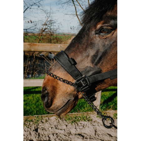 Equithème Control Halfter