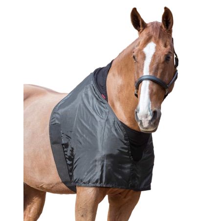 Schulterschutz Lemieux