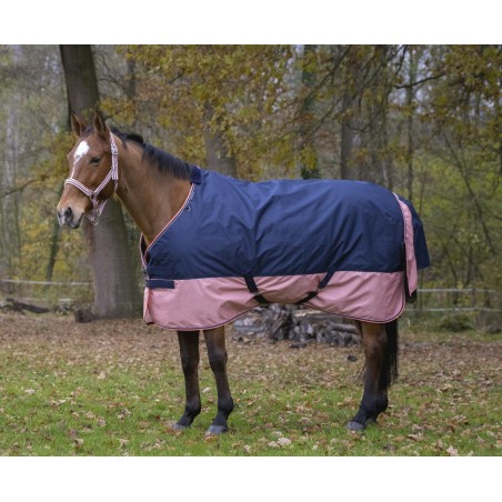 Equithème TYREX 600 D Decke