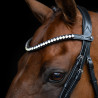 Stirnband Imperial Riding Maxima - Graphit
