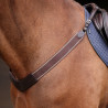 Elastischer Hintergurt Shires Velociti Rapida - Braun