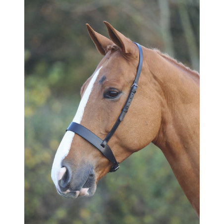 Kappzaum Hunter Shires Velociti Gara