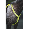 Shires Equi-Flector® Martingal-Brustblatt - Knallgelb