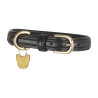 Gepolsterte Lederhundehalsband Shires Digby & Fox - Schwarz