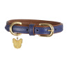 Gepolsterte Lederhundehalsband Shires Digby & Fox - Marine