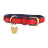 Gepolsterte Lederhundehalsband Shires Digby & Fox - Scharlachrot