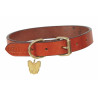 Flaches Lederhalsband für Hunde Shires Digby & Fox - Fuchs