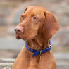 Rundes Lederhundehalsband Shires Digby & Fox - Royal