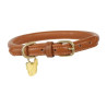 Rundes Lederhundehalsband Shires Digby & Fox - Fuchs