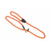 Shires Digby & Fox Lasso-Hundeleine aus Seil - Orange