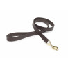 Flache Leder-Hundeleine Shires Digby & Fox - Braun