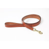 Flache Leder-Hundeleine Shires Digby & Fox - Fuchs