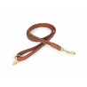 Geflochtene Hundeleine Shires Digby & Fox - Braun