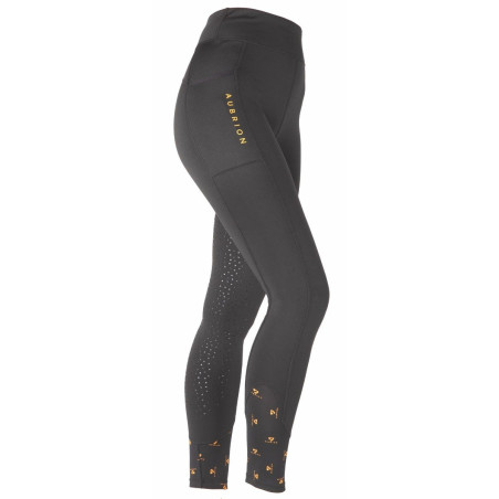 Winter-Reitleggings Shires Aubrion Porter