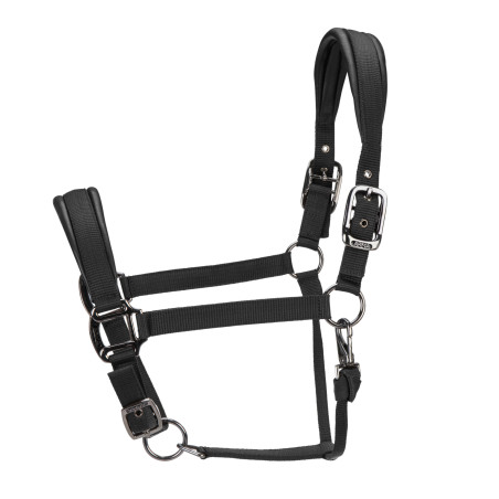 Gepolsterter Pro Shires Arma Halfter