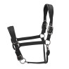 Gepolsterter Pro Shires Arma Halfter - Blau