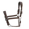 Gepolsterter Pro Shires Arma Halfter - Braun
