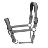 Gepolsterter Pro Shires Arma Halfter - Grau