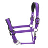 Gepolsterter Pro Shires Arma Halfter - Violett