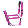 Gepolsterter Pro Shires Arma Halfter - Himbeere