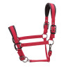 Gepolsterter Pro Shires Arma Halfter - Rot