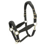Gepolsterter Shires Arma Halfter - Schwarz