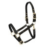 Knotenhalfter Porto Shires Arma - Schwarz