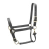 Verstellbares Halfter Premium Shires Arma - Grau