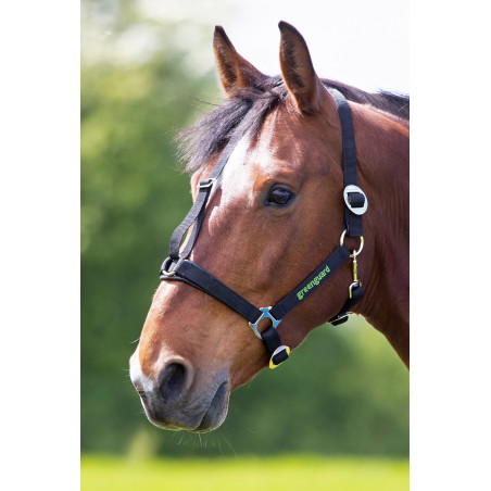 Shires Greenguard Halfter