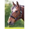 Shires Greenguard Halfter - Schwarz