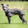 Gewachster Mantel für Windhunde Shires Digby & Fox - Olive