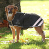 Wasserdichter Hundemantel Shires Digby & Fox - Grün