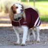 Wasserdichter Hundemantel Shires Digby & Fox - Bordeaux