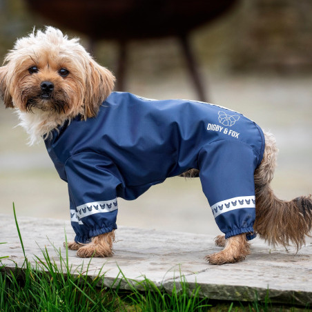 Hundemantel Cover-All Shires Digby & Fox