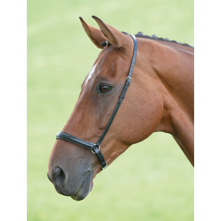 Deutsches Reithalfter Shires Velociti Gara
